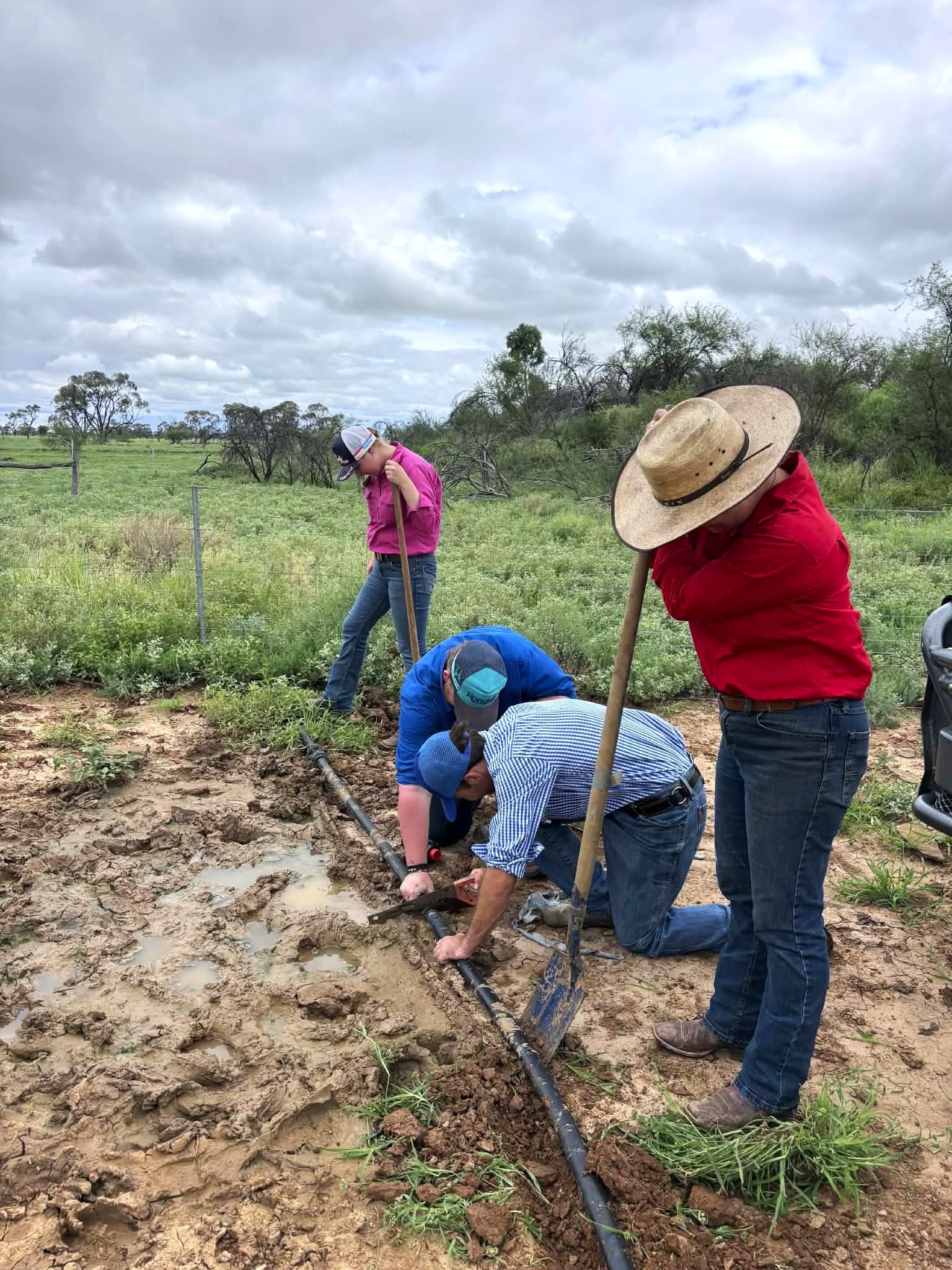 Agriculture camp gives young graziers a path into industry - ABC listen