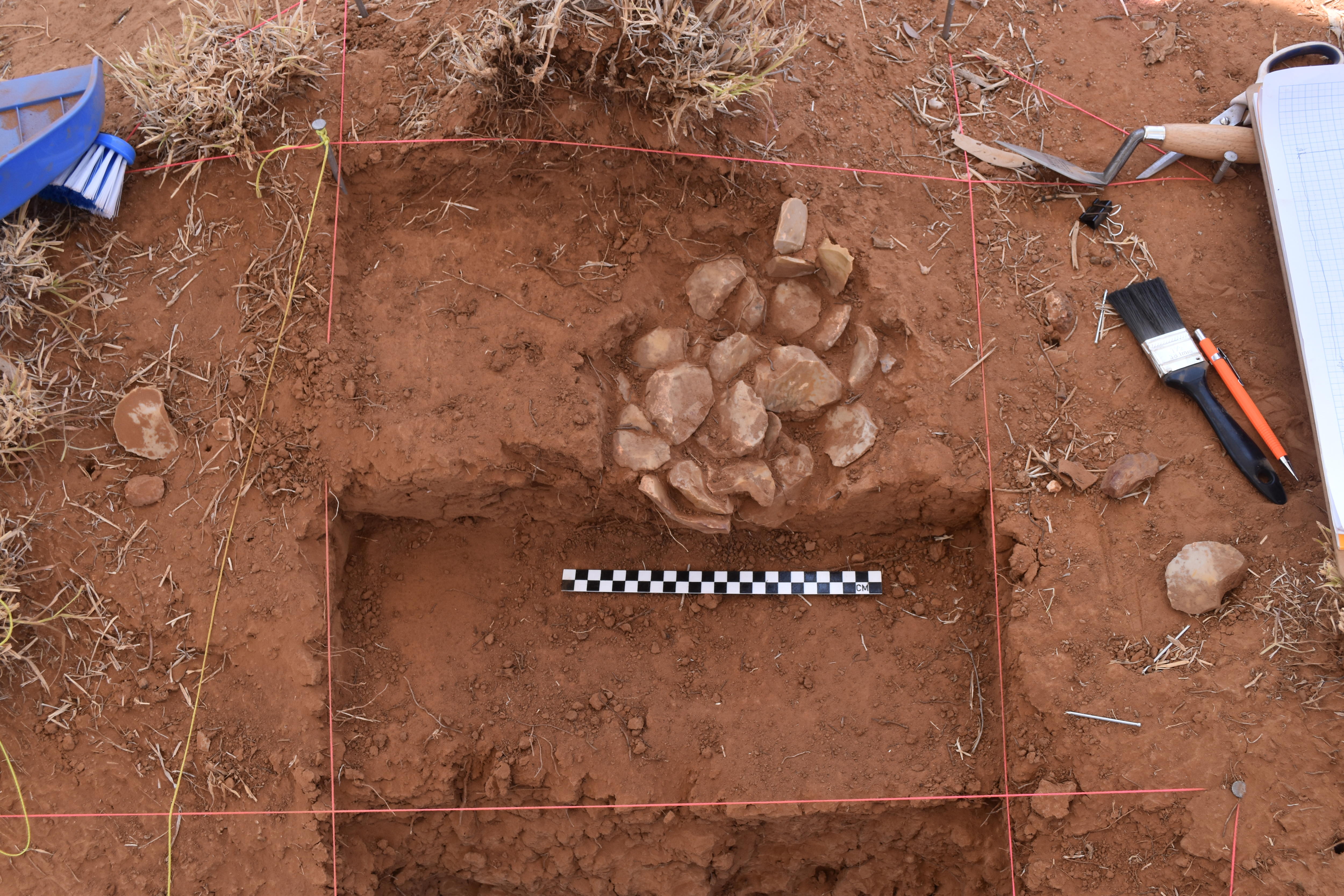 a pile of stone tools partially uncovered from red outback dirt, next to an archaeological meter scale