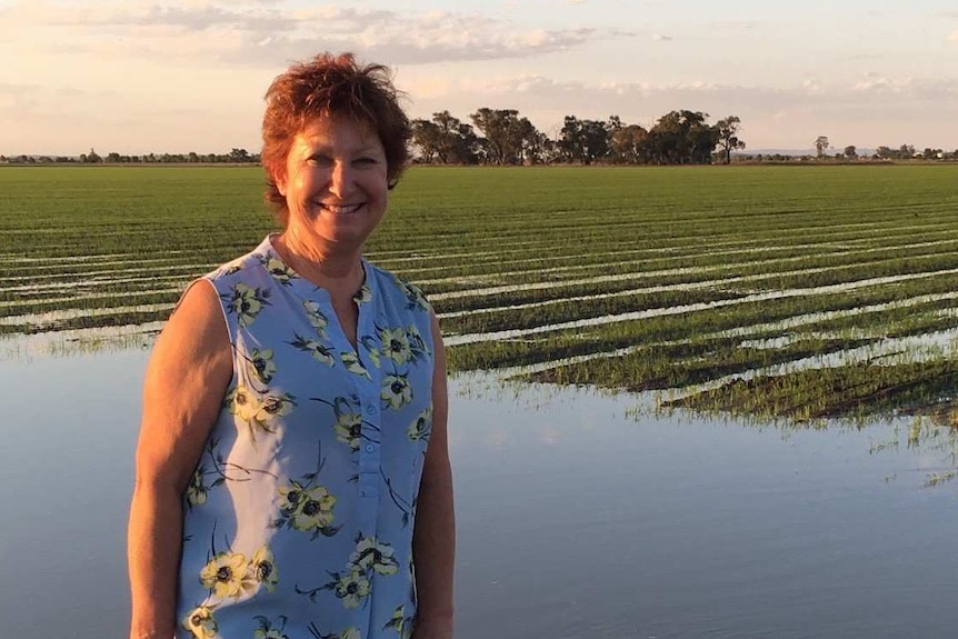 A woman smiling in a green rice crop with irrigation sitting on the crop.