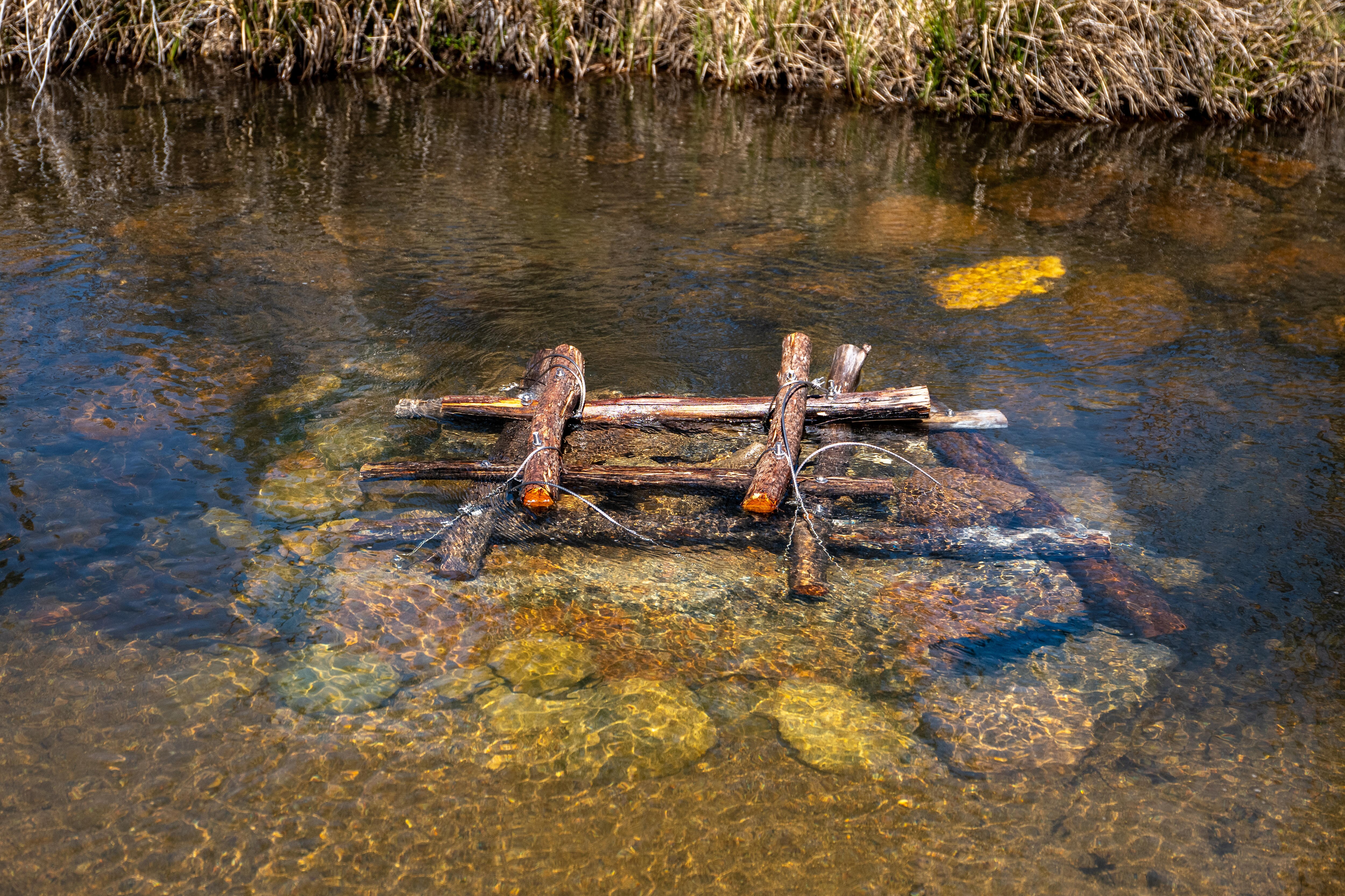 A wooden fish hotel in the bend of a slow-moving freshwater river.