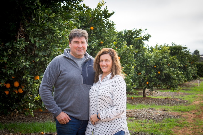 Peter and Michelle Hill stand together next to a row of orange trees