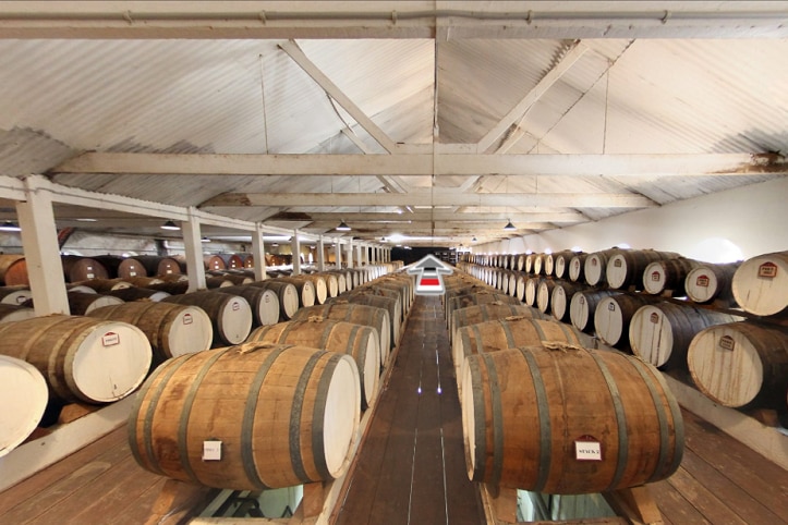 Virtual reality technology in action for Seppeltsfield Winery