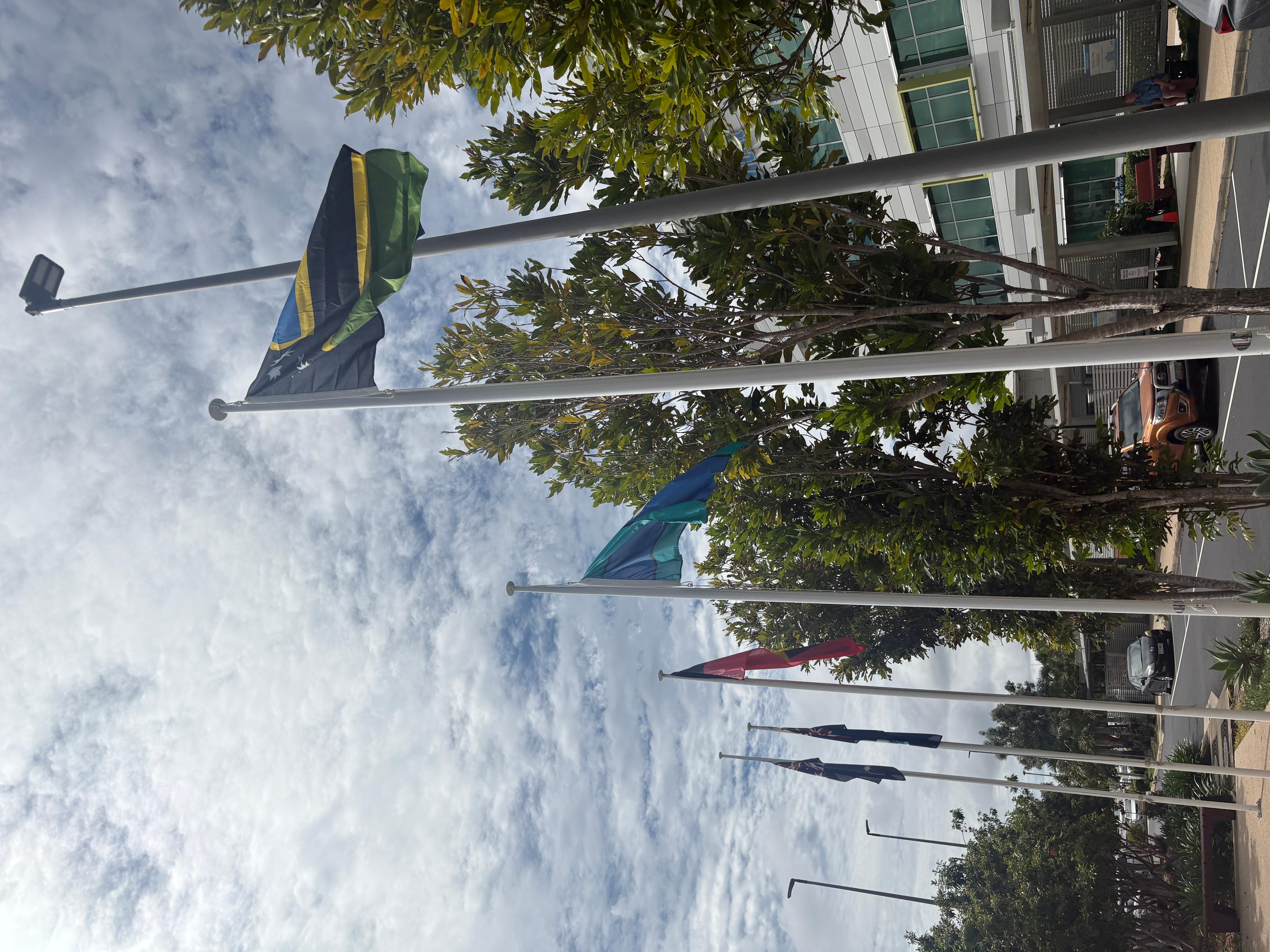 Five flags on poles, including the South Sea Islander flag, outside a hospital building.