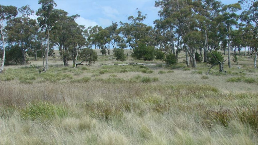 Search for best ways to retain biodiversity