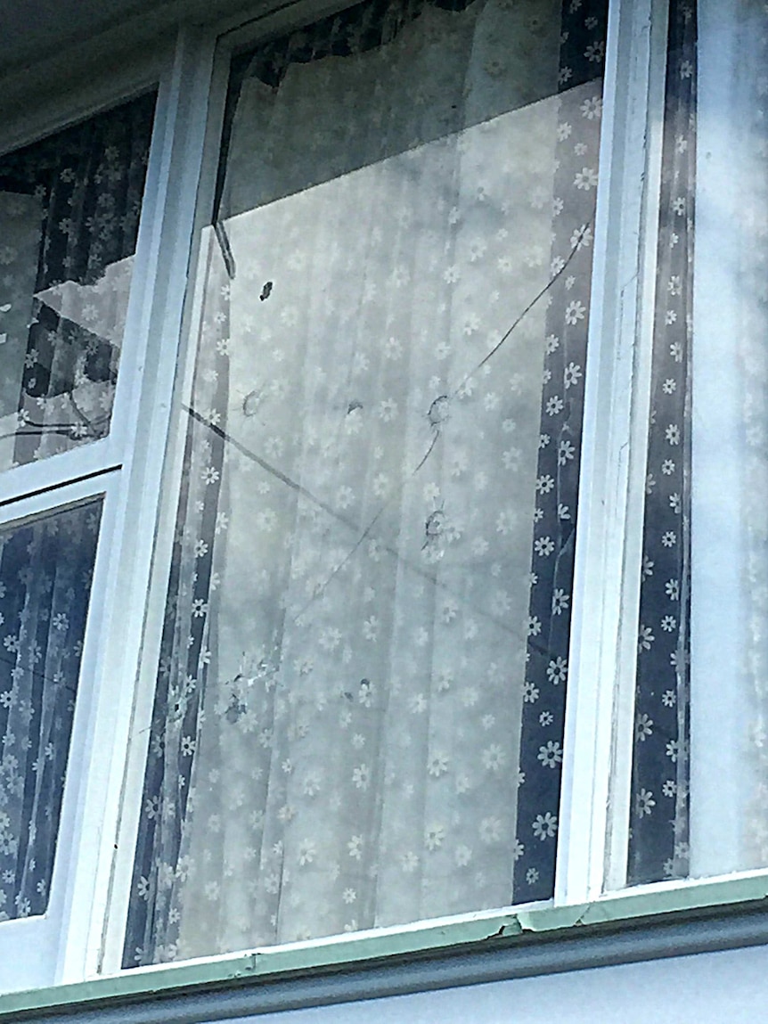 The window of a Hobart house riddled with bullet holes