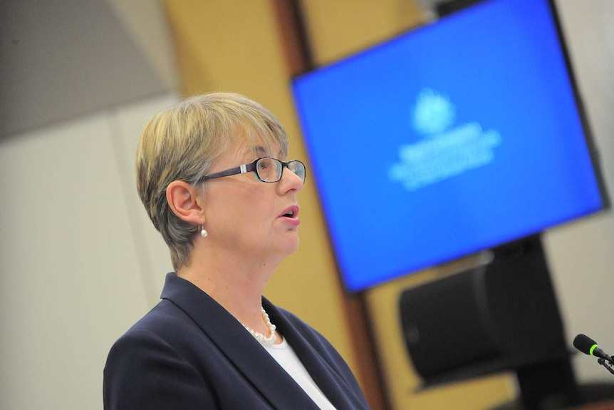 Gail Furness addressing the royal commission in Ballarat