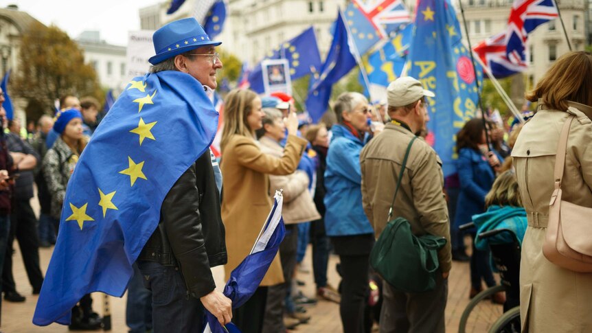 UK demonstrators don pro-EU garb