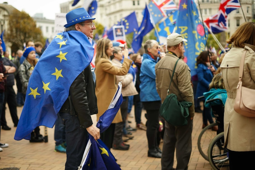 UK demonstrators don pro-EU garb