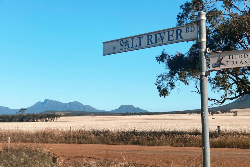 A start mountain line against a bright blue sky and fields of wheat with the sign "Salt River Road"