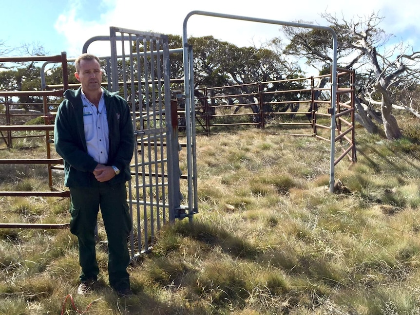 ACT Parks and Conservation manager Brett McNamara next to a steel yard used to trap wild horses.