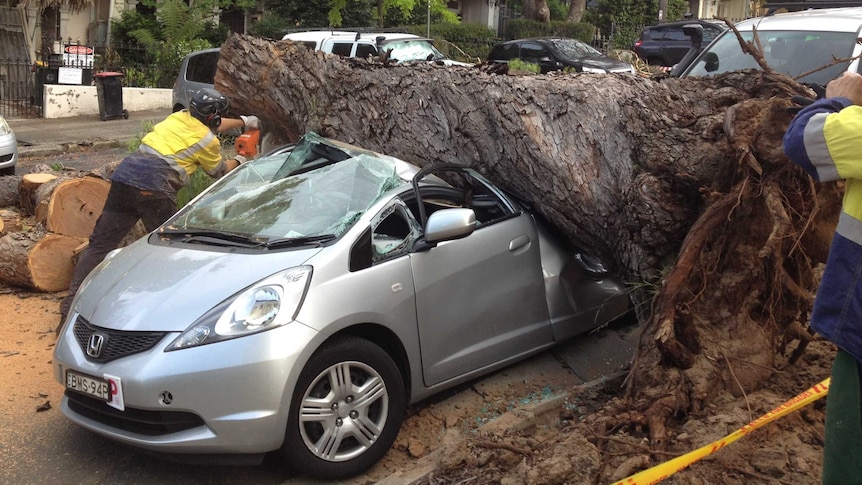 Car crushed at Paddington