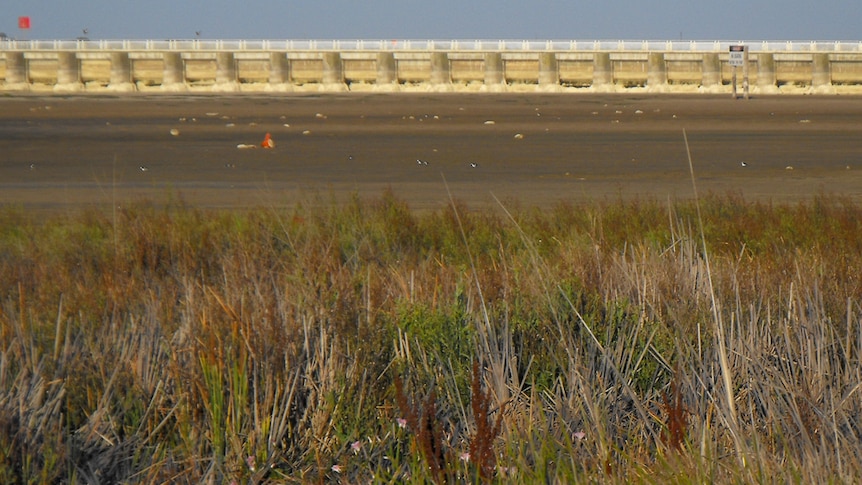 Goolwa barrage.