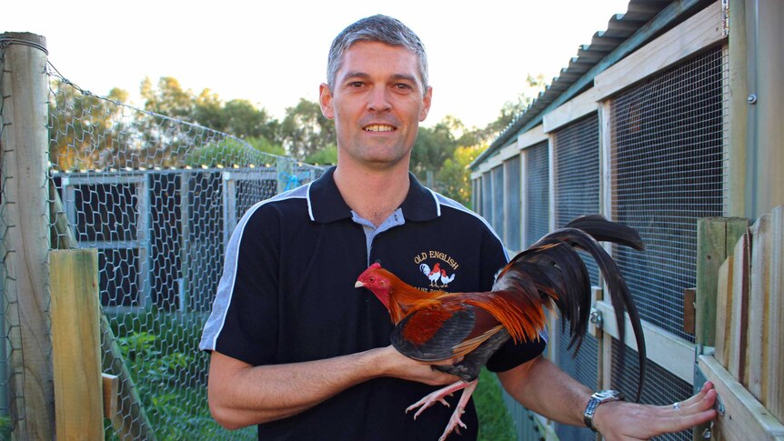 Poultry breeder Nathan Watson at home with his chickens.