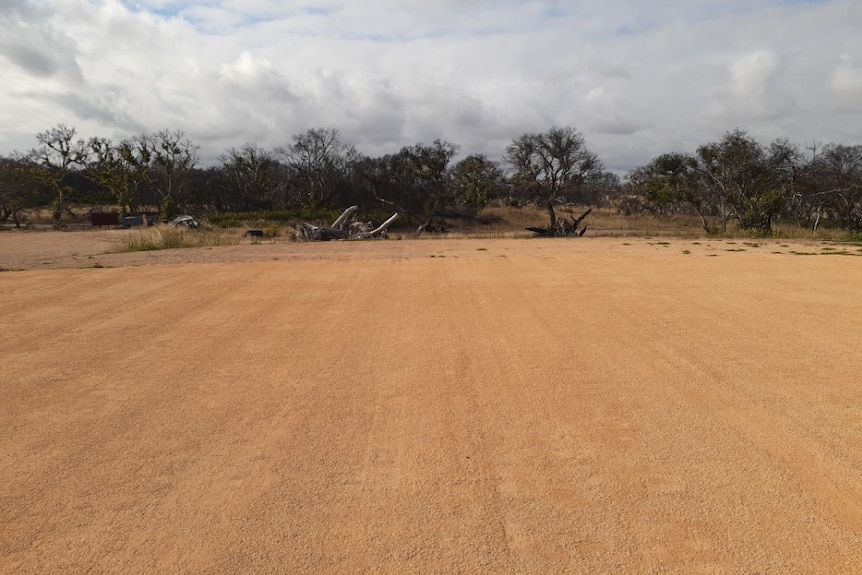 Patch of smooth orange earth, scrub in the background