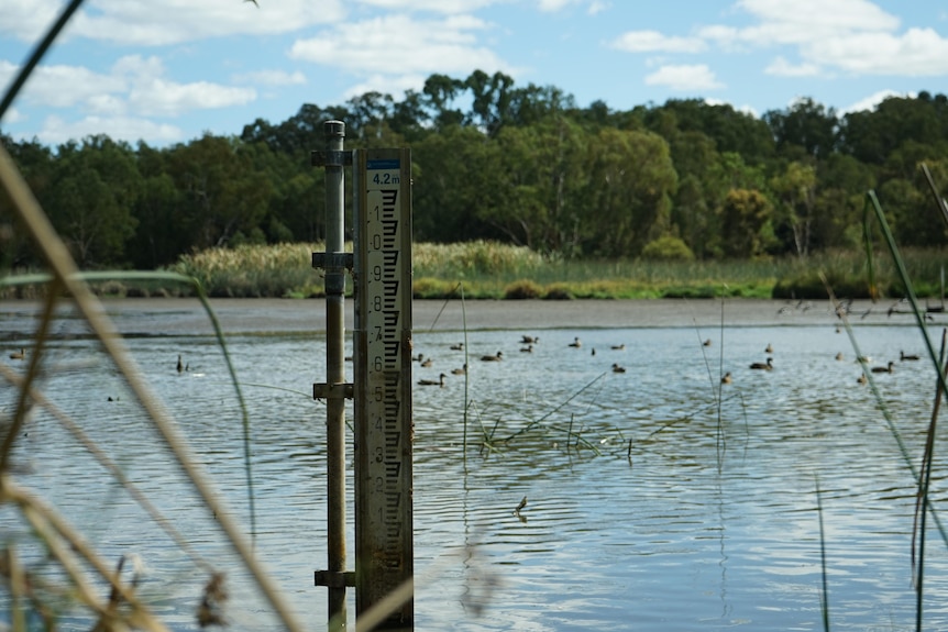 Water levels at Perry Lake are noticeably falling