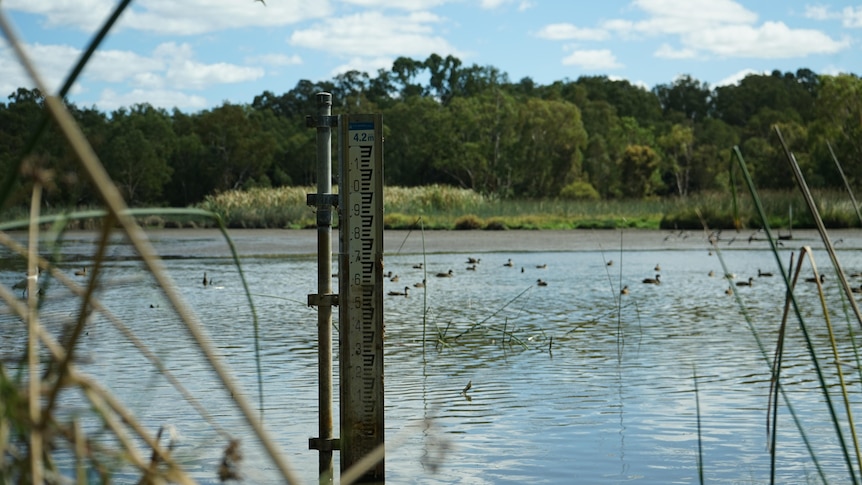 Water level at Perry Lakes.