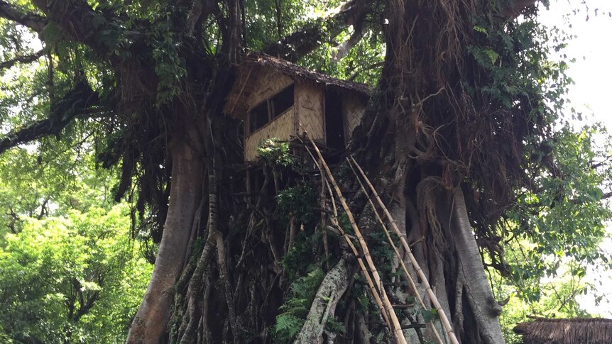 The Yakel tribe's traditional treehouses are a world away from the lavish lifestyles in Hollywood.