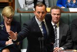 Tony Abbott in Question Time