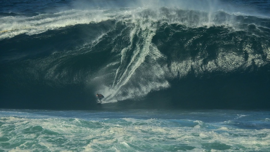 A surfer carves down the face of an enormous, heavy wave in WA.