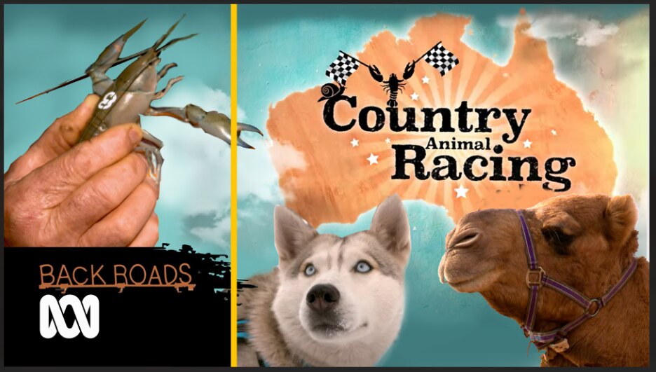 Map of Australia with camel and husky dog and text written country animal racing