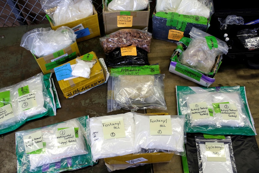 A photo of bags and bags of white powders with labels noting they contain "fentanyl" 