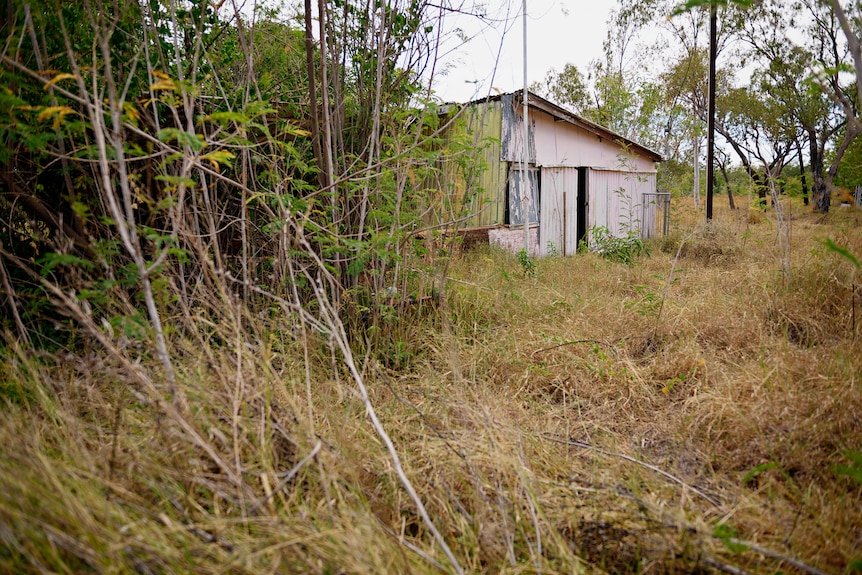 A picture of a tin shed with overgrown weeds in the front. The shed itself looks run down.