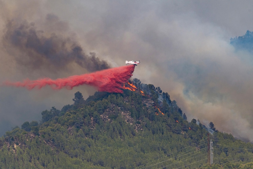 Samolot strażacki zrzuca uszczelniacz do pożaru lasu w Hiszpanii.