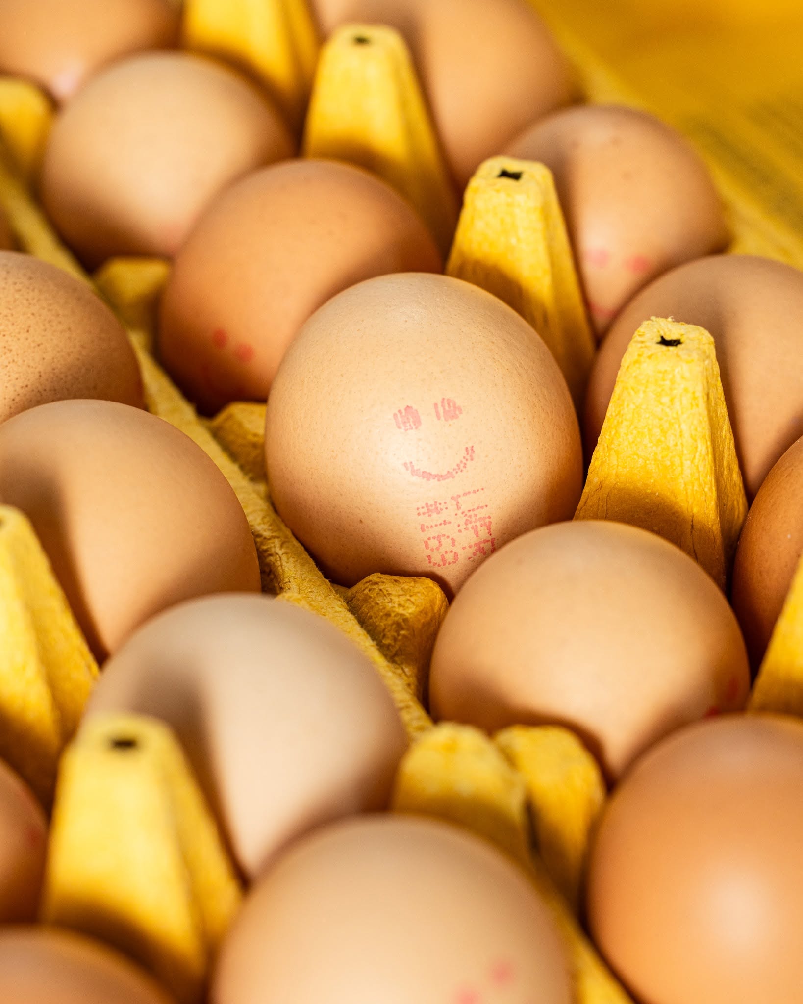 Consumer watchdog takes egg 'cartel' to court