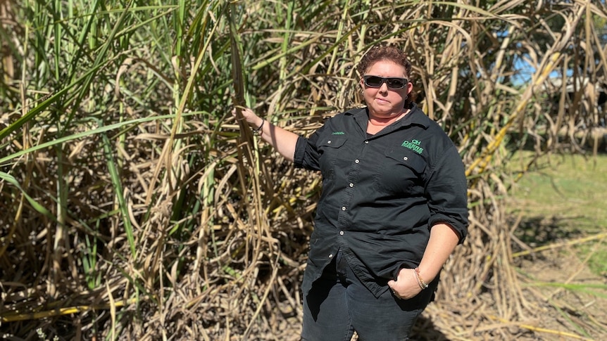 farm tours mackay