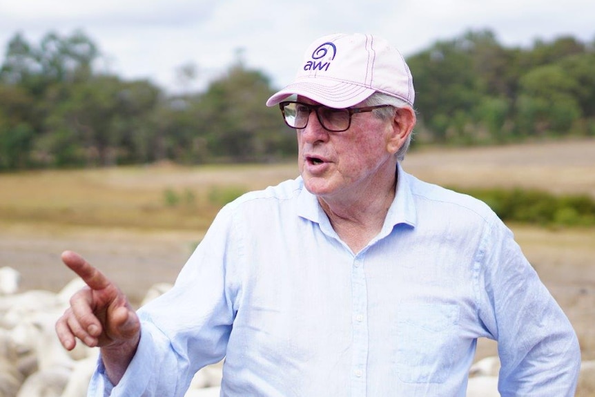 Sheep breeder Neil Garnett pointing his finger at a flock of sheep.