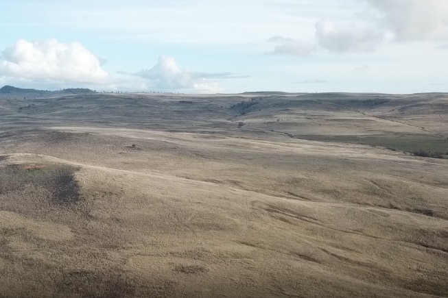 Drone shot of empty agricultural grazing land