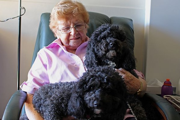 A new 'breed' of practitioner is working in nursing and aged care homes