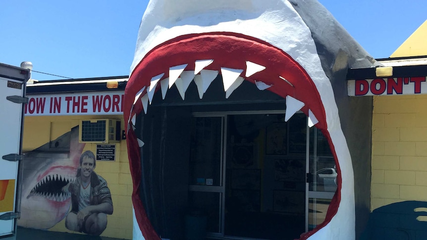 Giant shark Jaws are the entrance to Vic Hislop's Shark show in Hervey Bay