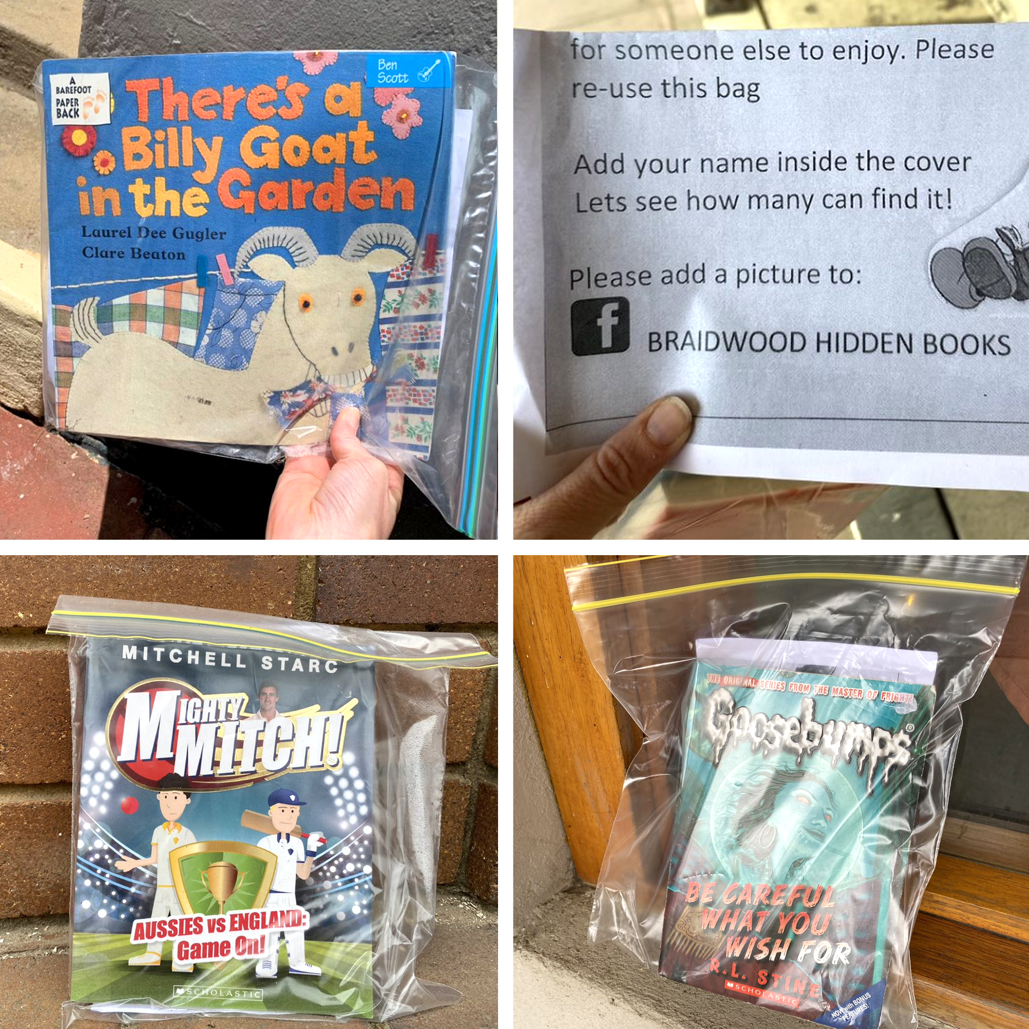 Books spotted in plastic sleeves around Braidwood, the goat in the garden, mighty mitch and a goosebumps novel