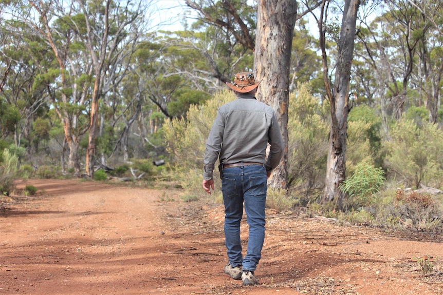 He walks along a dirt road, past tall trees. He is pictured from behind and wears jeans and a green shirt
