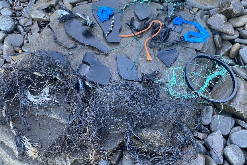 Pile of debris found on the shoreline.