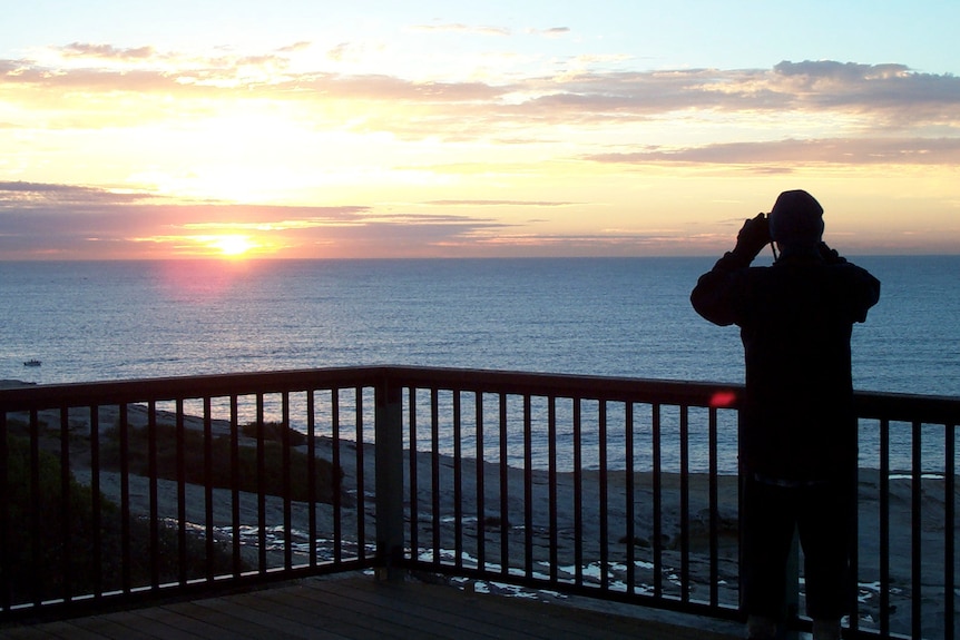 whale watcher at sunrise