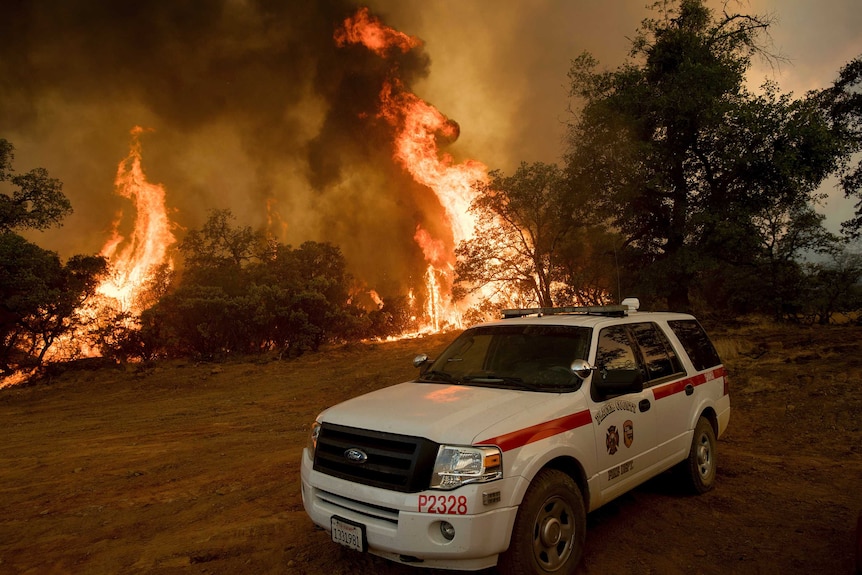 Flames from a wildfire engulf trees near Oroville, California. A county vehicle is in the foreground.