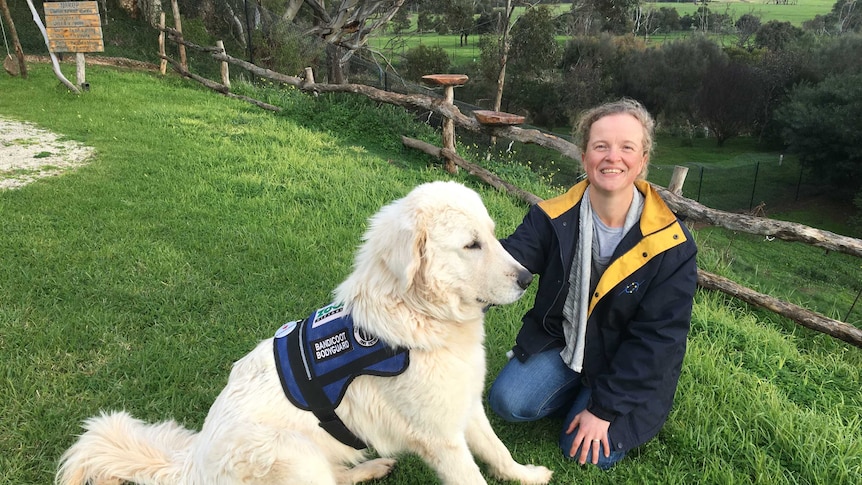 The large, white blonde and shaggy dog sits next to a crouched Dr Bommel in the grass