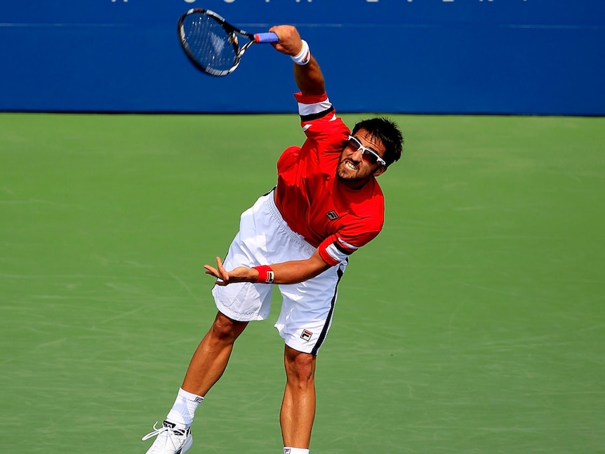 Serbia's Janko Tipsarevic edged Japan's Kei Nishikori in straight sets to set up a final meeting with Marcos Baghdatis (file photo)