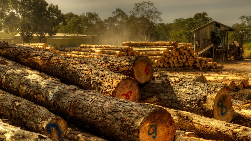 Sawmill in Kuitpo Forest, south of Adelaide