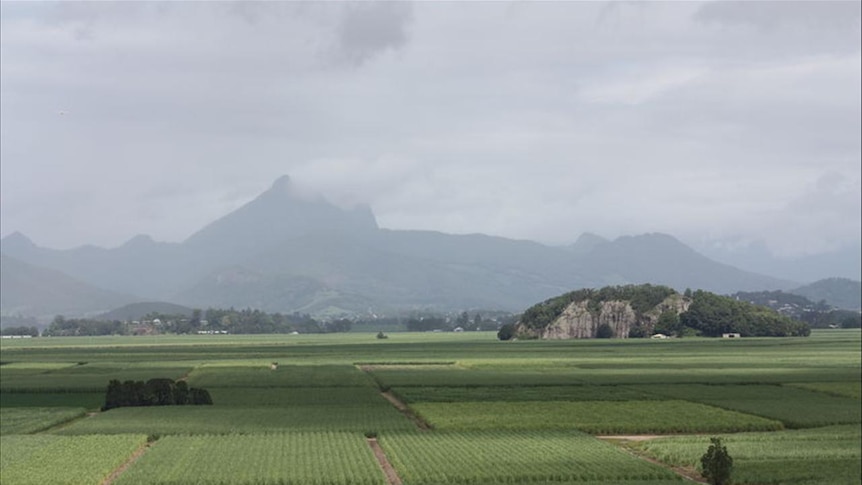 Looking down on sugar cane fields in the Tweed Valley.