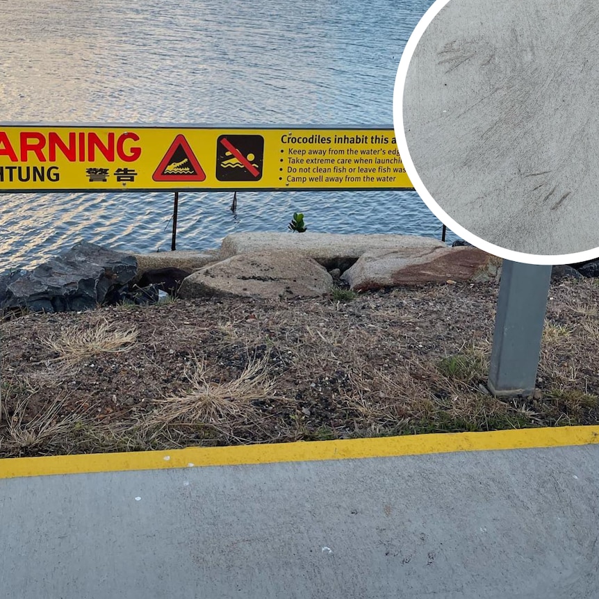 A crocodile has slid across wet cement footpath in Cooktown, leaving a large indentation in the concrete.