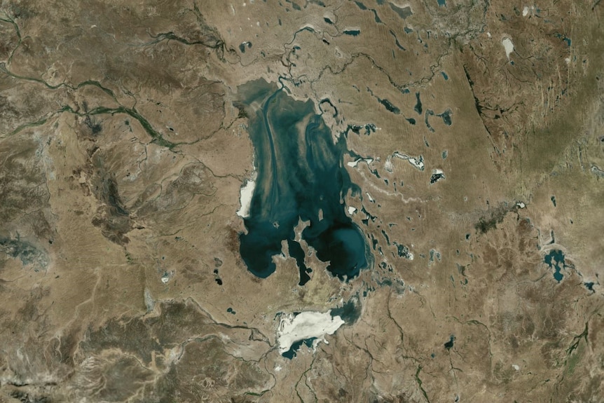 A satellite image shows Kati Thanda-Lake Eyre full with a blue body of water in the middle of desert country.