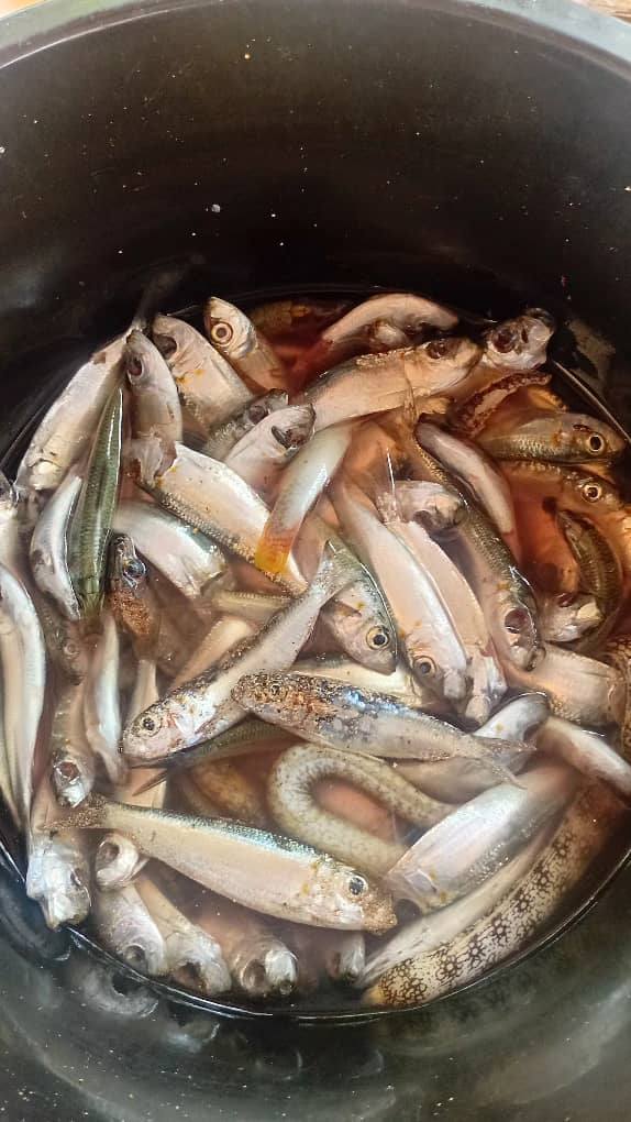 PNG new Ireland pis dai nating - ABC Pacific