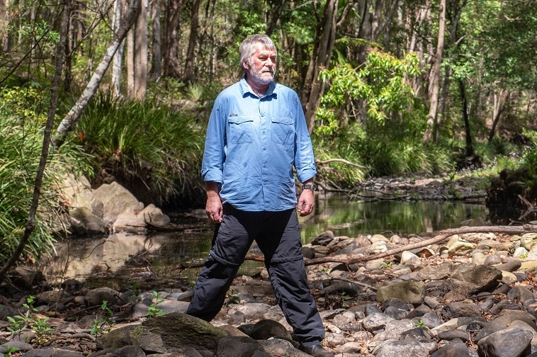 A man in a blue shirt straddles a rocky creek bed surrounded by lush green forest
