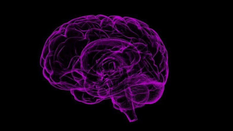 Purple picture graphic of a brain with a black backdrop 