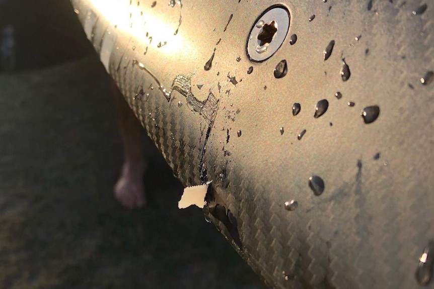 A black foil board with a shard of tooth embedded in it.