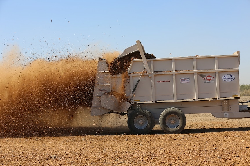 woodchips getting back into the soil of an almond orchard.