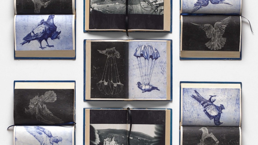 Seven books with images printed in relief of pigeons in flight and attached to parachutes, and the view from the air.